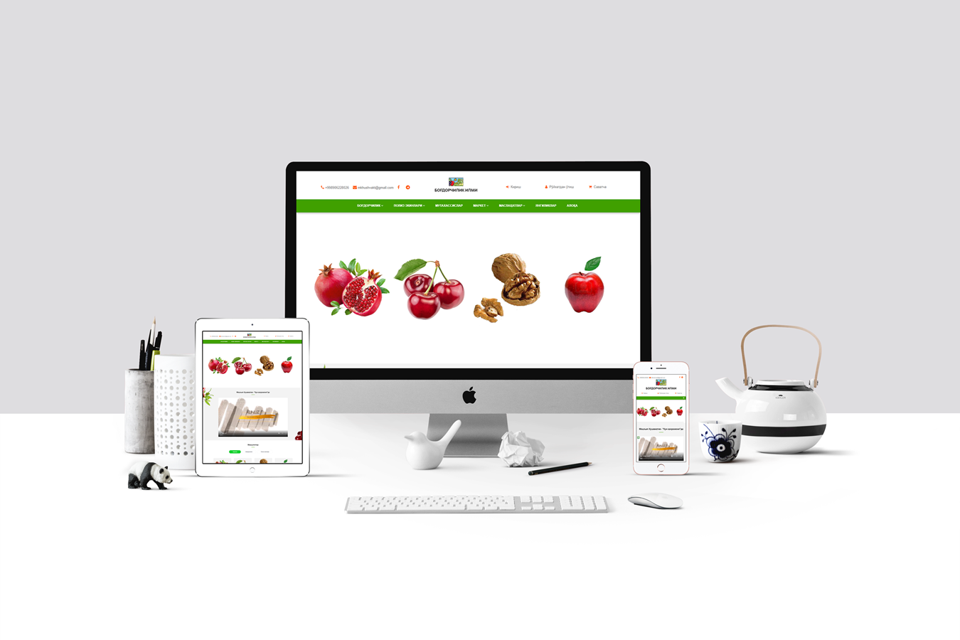 Portfolio